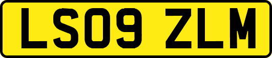 LS09ZLM