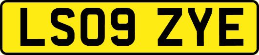 LS09ZYE