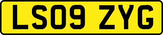 LS09ZYG
