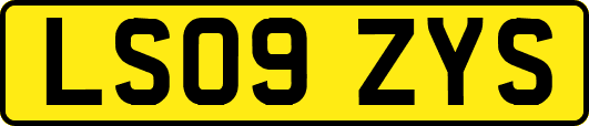 LS09ZYS