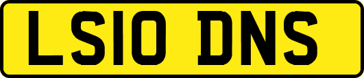 LS10DNS