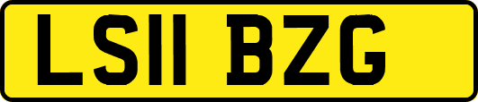 LS11BZG