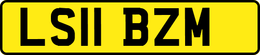 LS11BZM