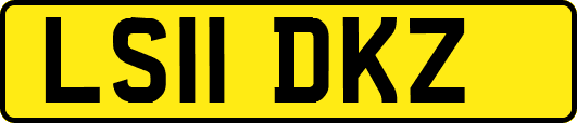 LS11DKZ