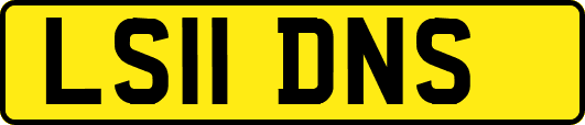 LS11DNS