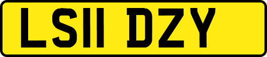 LS11DZY