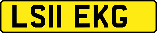 LS11EKG