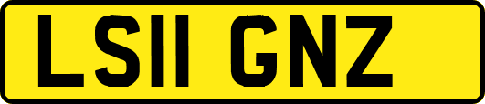 LS11GNZ