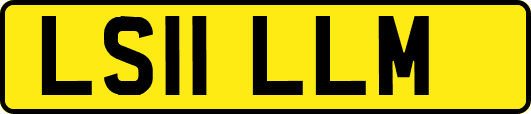 LS11LLM