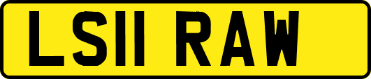 LS11RAW