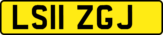 LS11ZGJ