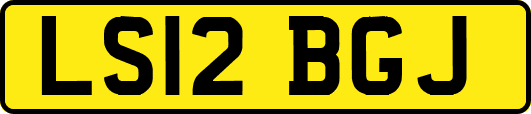LS12BGJ