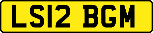 LS12BGM