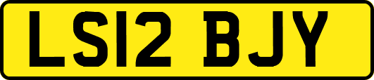 LS12BJY