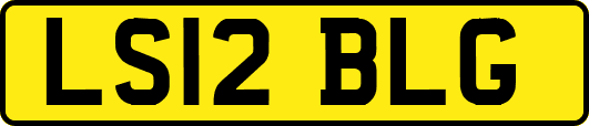 LS12BLG