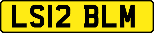 LS12BLM
