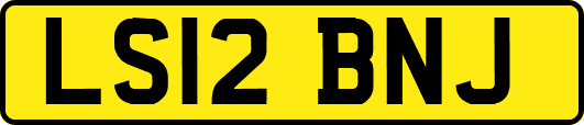 LS12BNJ