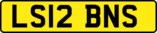 LS12BNS
