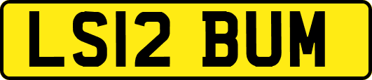 LS12BUM