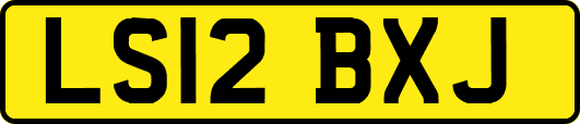 LS12BXJ