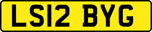 LS12BYG