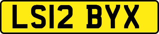 LS12BYX