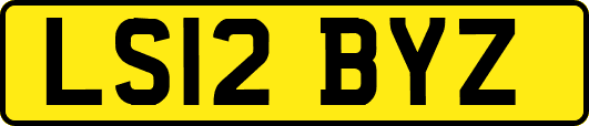 LS12BYZ