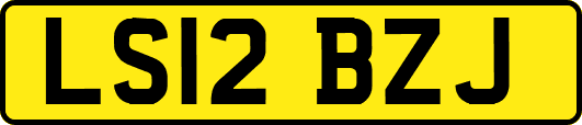 LS12BZJ