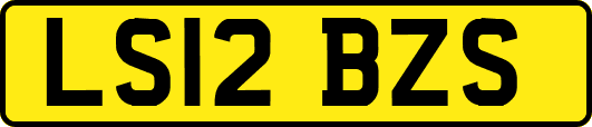 LS12BZS