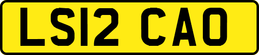 LS12CAO