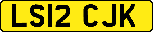 LS12CJK