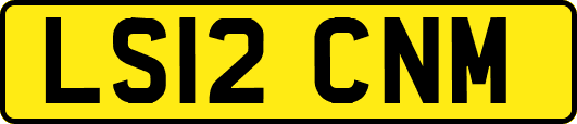 LS12CNM