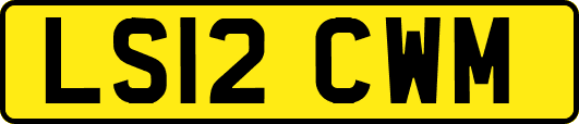 LS12CWM