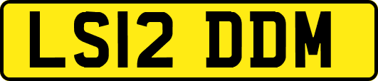 LS12DDM
