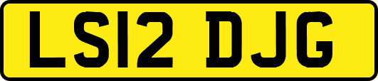 LS12DJG