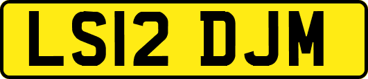 LS12DJM