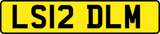 LS12DLM