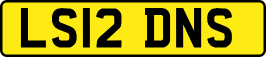 LS12DNS