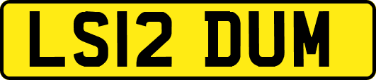 LS12DUM