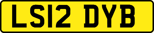 LS12DYB