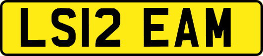LS12EAM