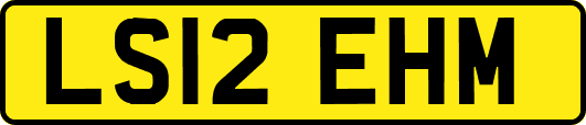LS12EHM