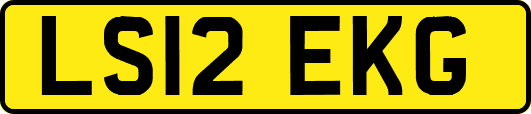 LS12EKG
