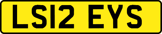 LS12EYS