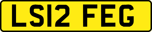 LS12FEG