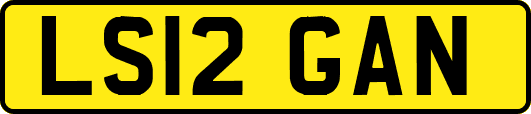 LS12GAN