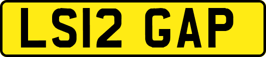 LS12GAP
