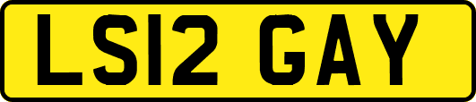 LS12GAY