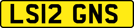 LS12GNS