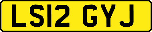LS12GYJ